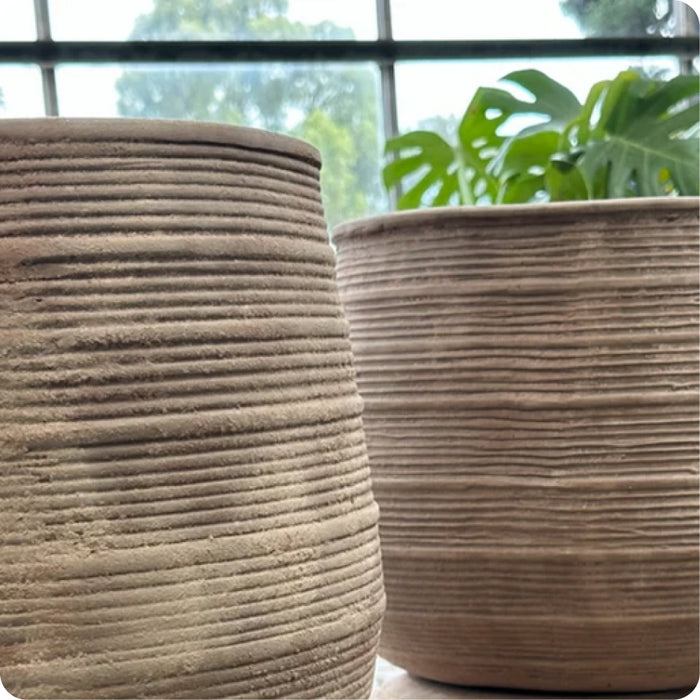 Colección Arrel