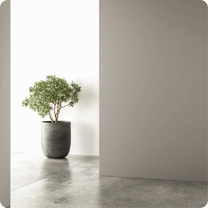 Colección Minimal