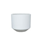 Base Cylinder - 1