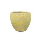 Antique Jar - 492