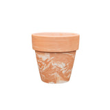 Cloudy Terracotta
