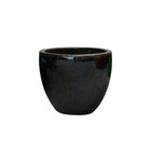 Campana - 189