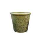 Vaso Borde Liso - 203
