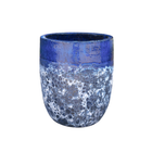 Campana Alta - 231