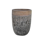Campana Alta - 231
