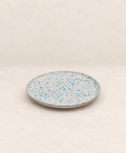 Plate Stains - 190