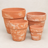 Terracota