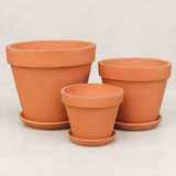 Terracota