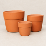Terracota