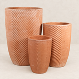 Terracota
