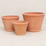 Terracota