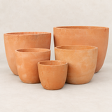 Terracota