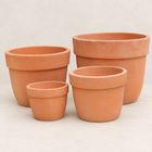 P005.TER.57.TERR.246