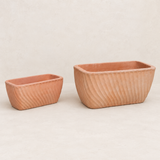 Terracota