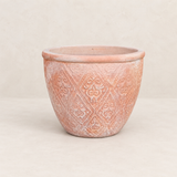 Terracota