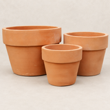 Terracota