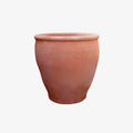 Terracotta