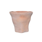 Organic Vase - 9