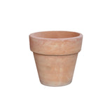 Terracota