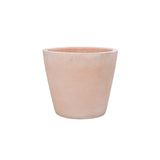 Terracota