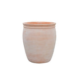 Terracota