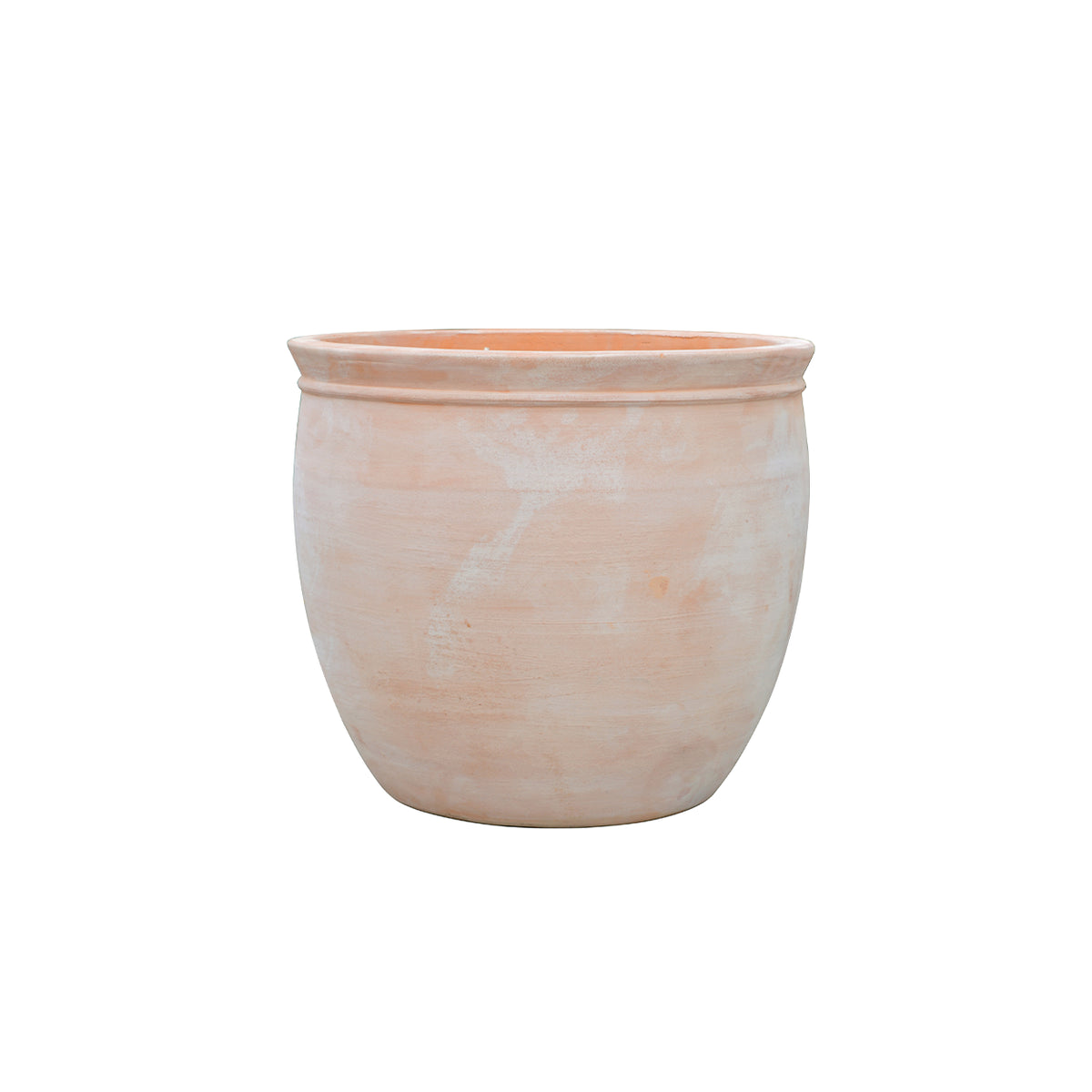 Campana Borde - 317