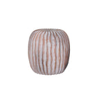 Cactus - 1